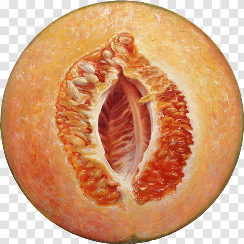 Grapefruit Oil Painting Winter Squash - Watercolor Transparent PNG