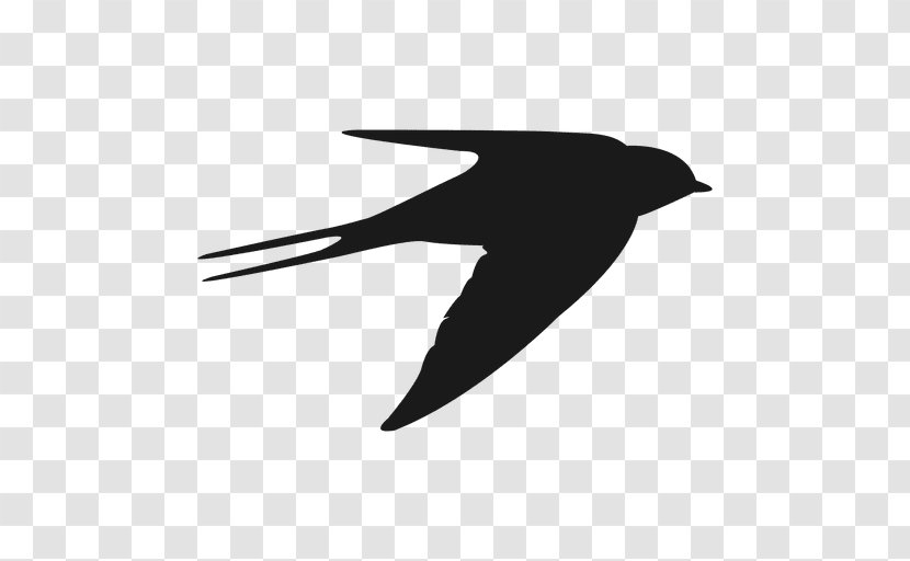 Hummingbird Beak Swallow Flight - Silhouette - Bird Transparent PNG