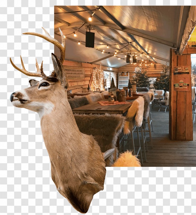 Deer Noordwijk Fauna Map Christmas Dinner Transparent PNG