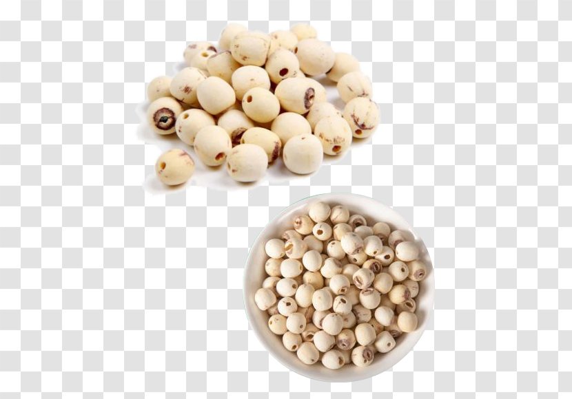 Lotus Seed Vegetarian Cuisine - Food - White Children Transparent PNG