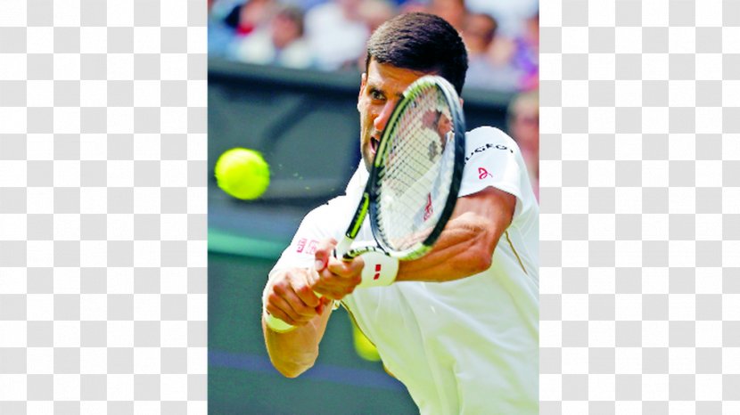 Competition - Novak Djokovic Transparent PNG