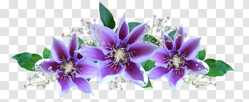 Wine Leather Flower Floral Design Wedding - Violet - Flowers Lila Transparent PNG