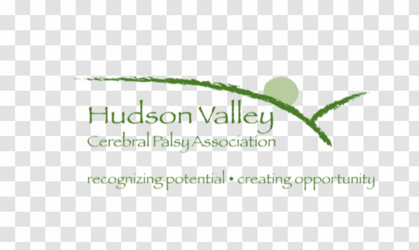 Hudson Valley CPA's Pllc Cerebral Palsy Association Organization Non-profit Organisation - Text - Seed Company Transparent PNG