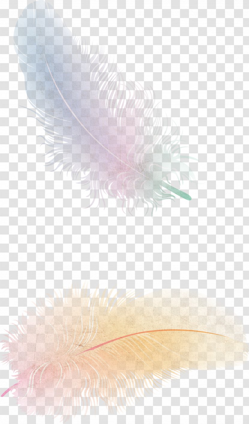 The Floating Feather Flight Bird - Quill Transparent PNG