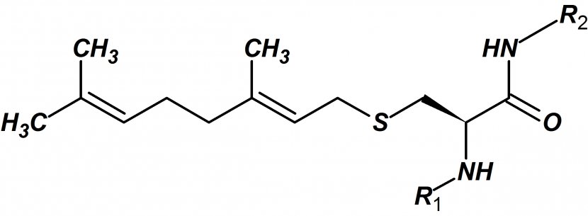 Retinyl Palmitate Dietary Supplement Vitamin A Retinol - Monochrome - Palmitic Acid Transparent PNG