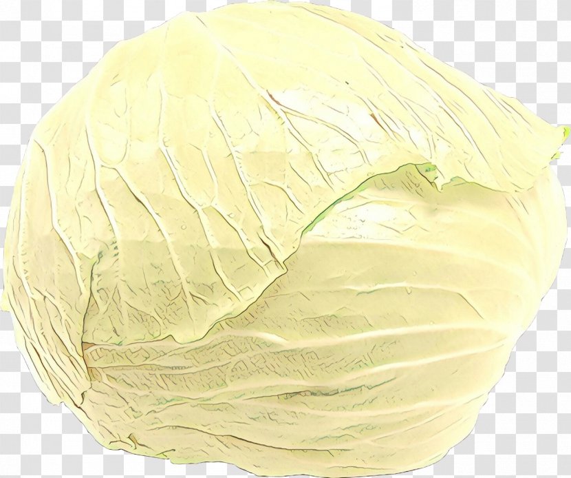 Cabbage - Yellow - Feather Wild Transparent PNG