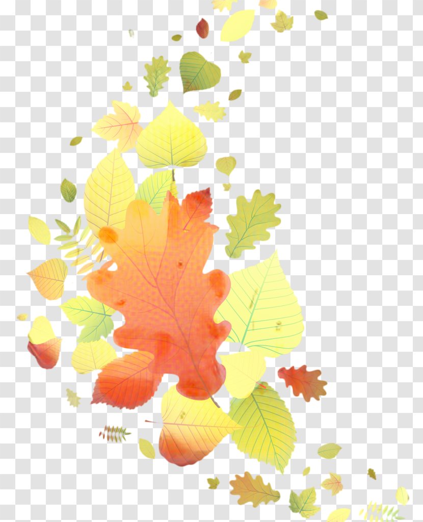 Autumn Leaf Drawing - Branch - Plant Transparent PNG