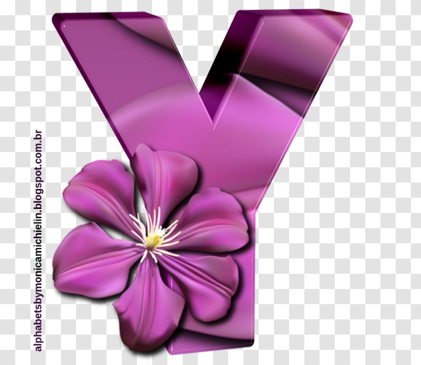 Petal Cut Flowers Plants Flowering Plant - Flora - Alphabet Y Transparent PNG