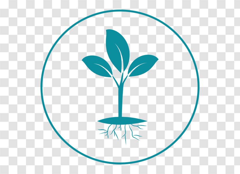 Rooting Plant - Organism Transparent PNG