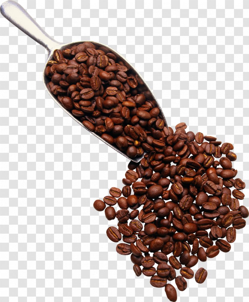 Turkish Coffee Espresso Cappuccino Iced - Caffeine - Grain Transparent PNG