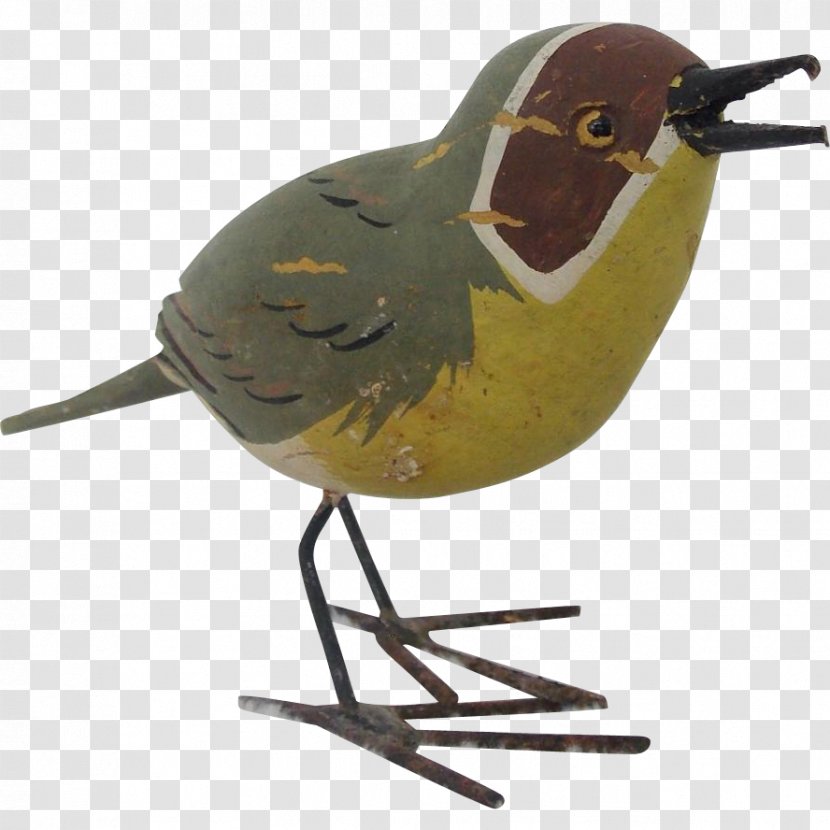 Bird Beak Fauna - Hand-painted Birds Transparent PNG