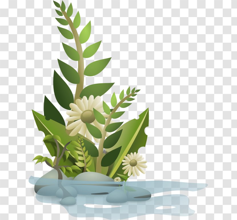 Plant Clip Art - Flowering - Aquatic Plants Transparent PNG