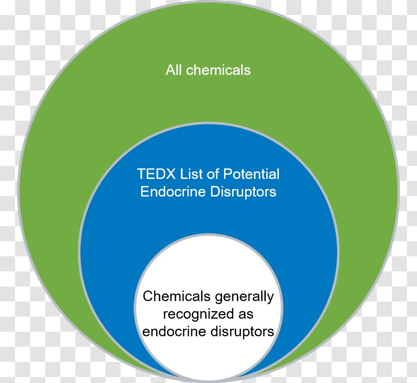 Endocrine Disruptor System Environmental Health Research - Brand Transparent PNG