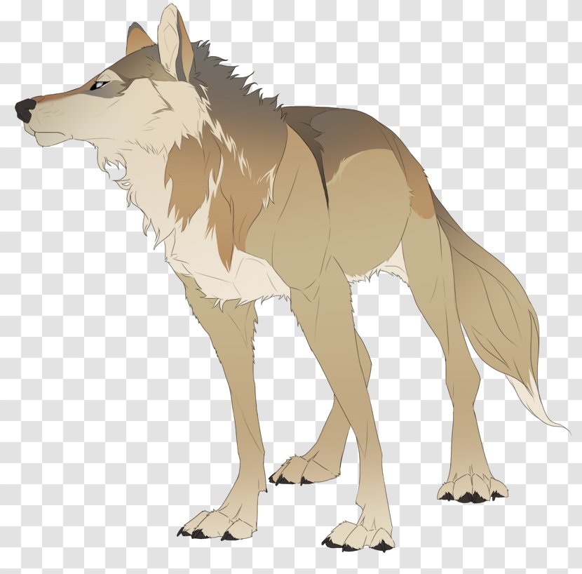 Coyote Gray Wolf Drawing Dog DeviantArt - Carnivoran Transparent PNG