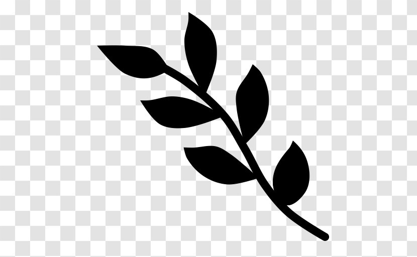 Clip Art Plant Stem Leaf Flower Desktop Wallpaper - Tree - Twig Transparent PNG
