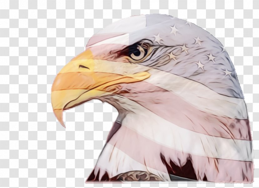 Fourth Of July Background - Eagle - Golden Wildlife Transparent PNG