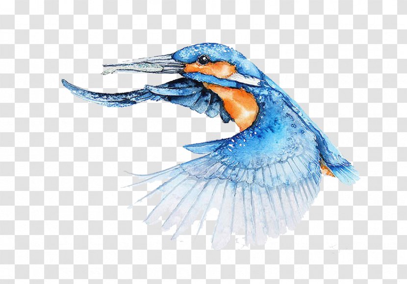 Bird Watercolor Painting Architect Illustrator - Kingfisher Wings Fly Transparent PNG