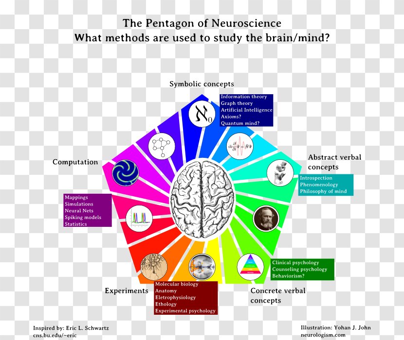 Neuroscience Cognitive Science Pentagon An Essay Concerning Human Understanding - Artificial Neural Network - Creative Math Ppt Chart Transparent PNG