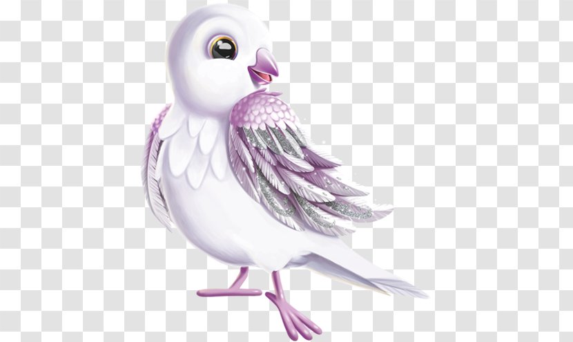 Owl Goose Cygnini Duck Bird - Beak - Good Luck Charm Transparent PNG