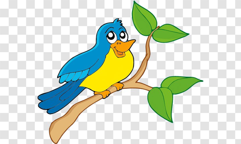 Bird Parrot - Beak - Budgie Bluebird Transparent PNG