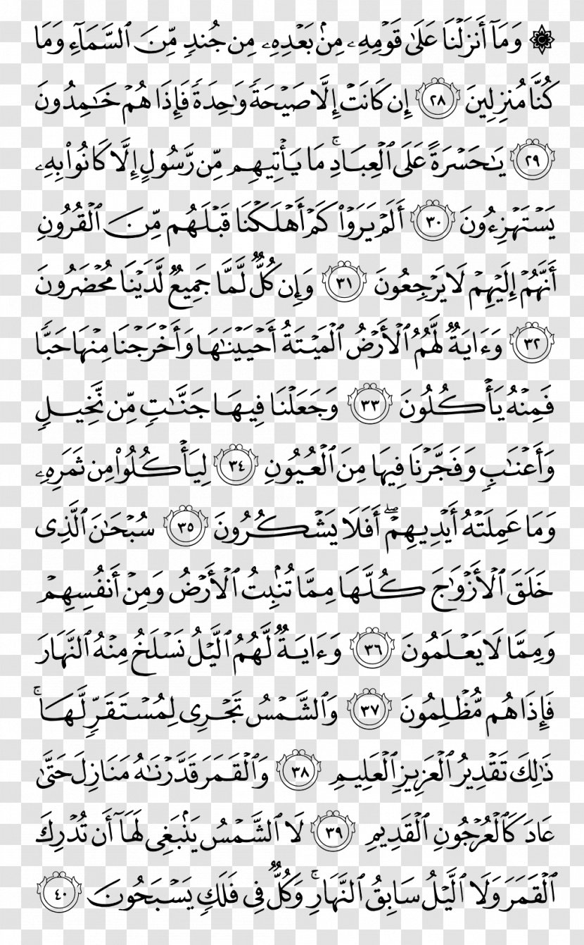 Quran Ya Sin Juz' Ghafir Al-Baqara - Tree - Islam Transparent PNG