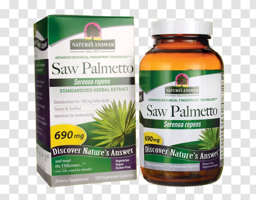 Dietary Supplement Saw Palmetto Extract Herbalism Swanson Health Products Transparent PNG