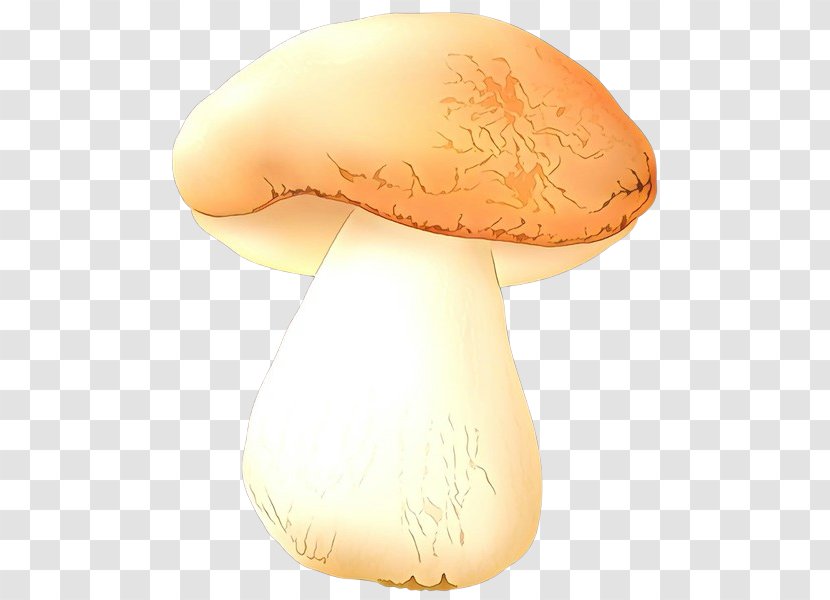 Mushroom Agaricus Agaricaceae Agaricomycetes Champignon - Fungus - Edible Lamp Transparent PNG