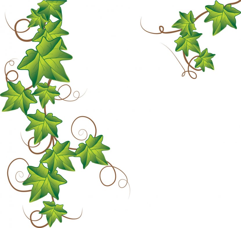 Drawing Royalty-free Clip Art - Leaf - Free Vine Cliparts Transparent PNG