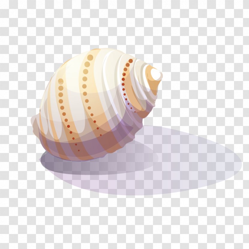 Viviparidae Sea Snail Clip Art - Vector White Yellow Dot Conch Transparent PNG