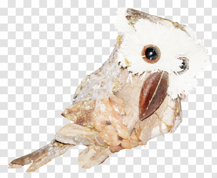 Owl Icon - Fauna Transparent PNG