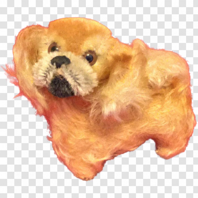American Cocker Spaniel Puppy Dog Breed Transparent PNG