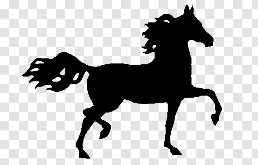 Mustang Arabian Horse Nokota Stallion American Paint Transparent PNG