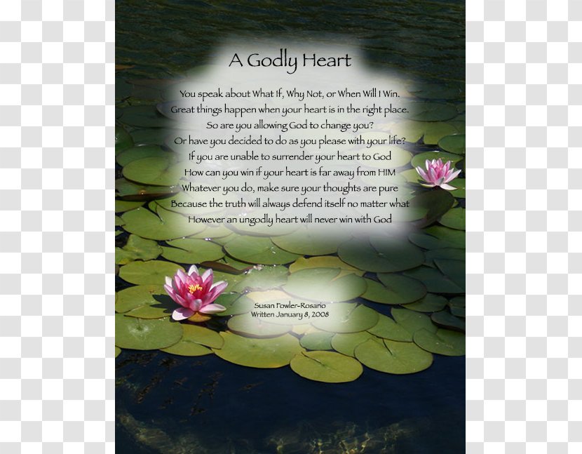 Poetry Just Hold On Book God - Tree - Heart Transparent PNG