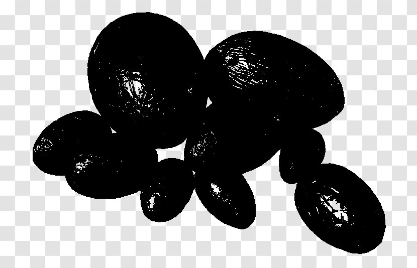 Fruit - Black - Vitis Transparent PNG