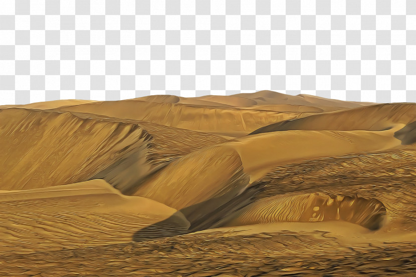 Sand Grasses Soil Ecoregion Sand Art And Play Transparent PNG