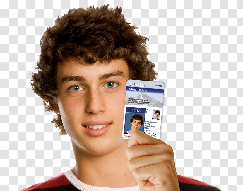 Driver's License Education Learner's Permit Driving - Forehead - American Teen Transparent PNG