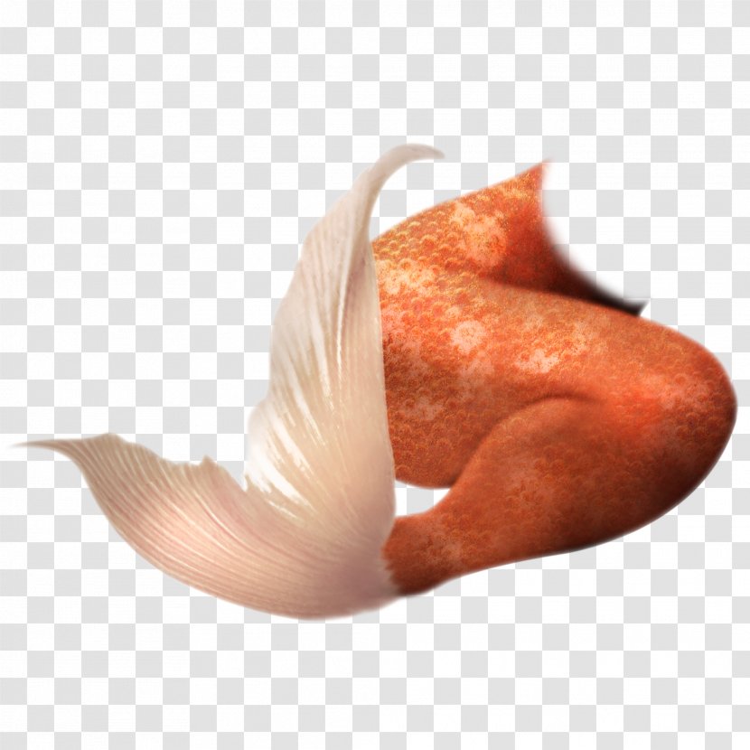 Mermaid Tail - Silhouette - Orange Creative Transparent PNG