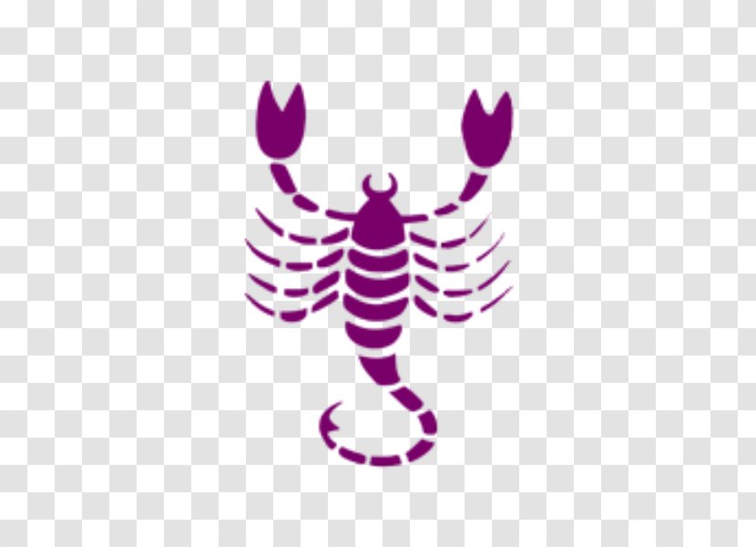 Scorpio Astrological Sign Horoscope Astrology Zodiac - Aries - Gemini Transparent PNG