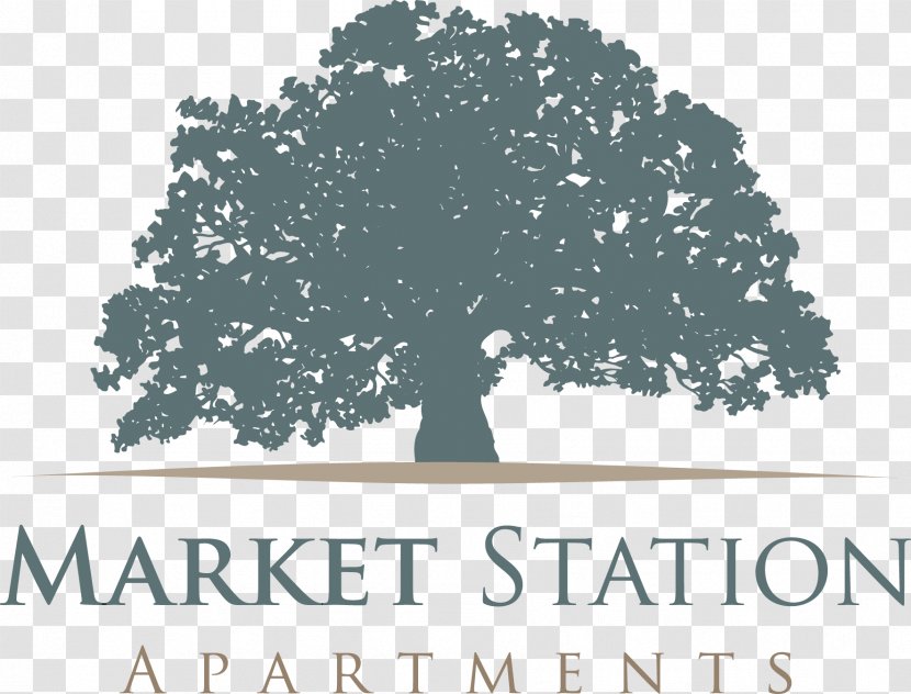 Oakleaf Auto Inc Cayuga Junction House Market Station Apartments Hartford - Logo - Abstract Tree Transparent PNG