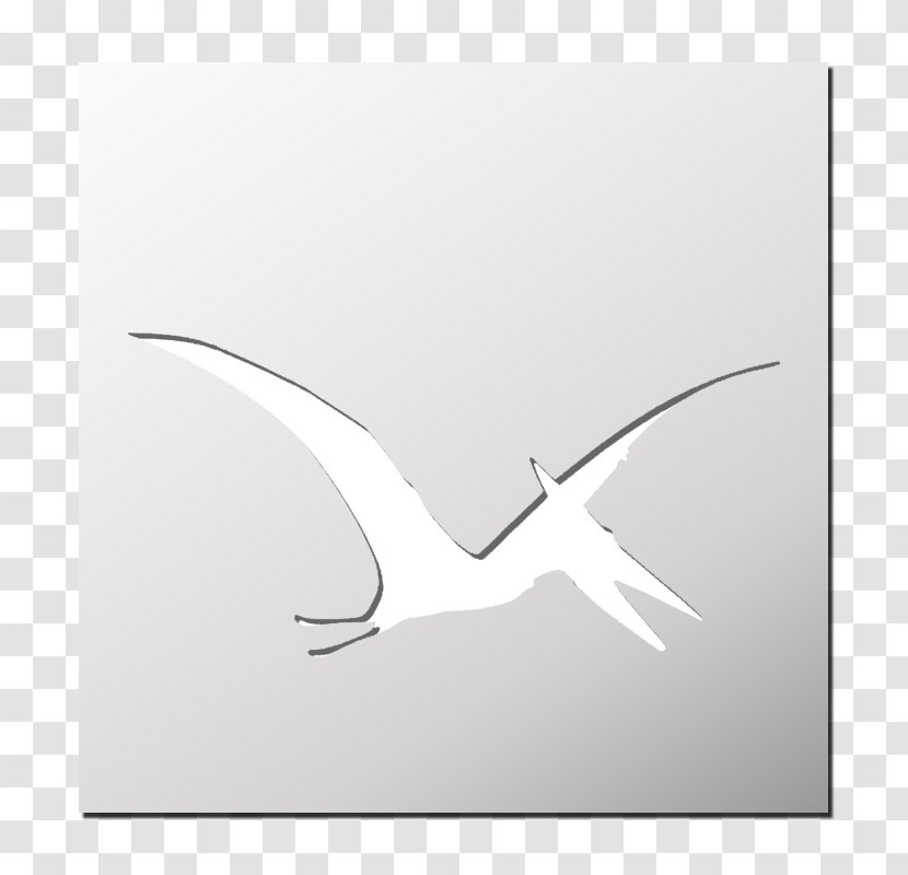 Line Beak - Sky Plc - Design Transparent PNG