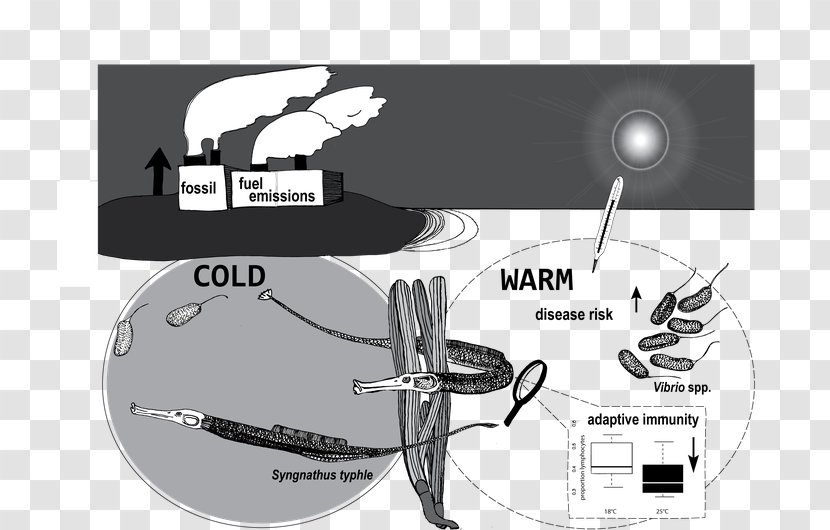 Roundworms Research University Text - Web Page Transparent PNG