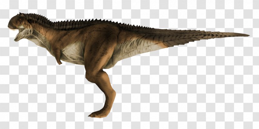 Tyrannosaurus Carnotaurus Kulindadromeus Spinosaurus Pachycephalosaurus - Red Thread Transparent PNG