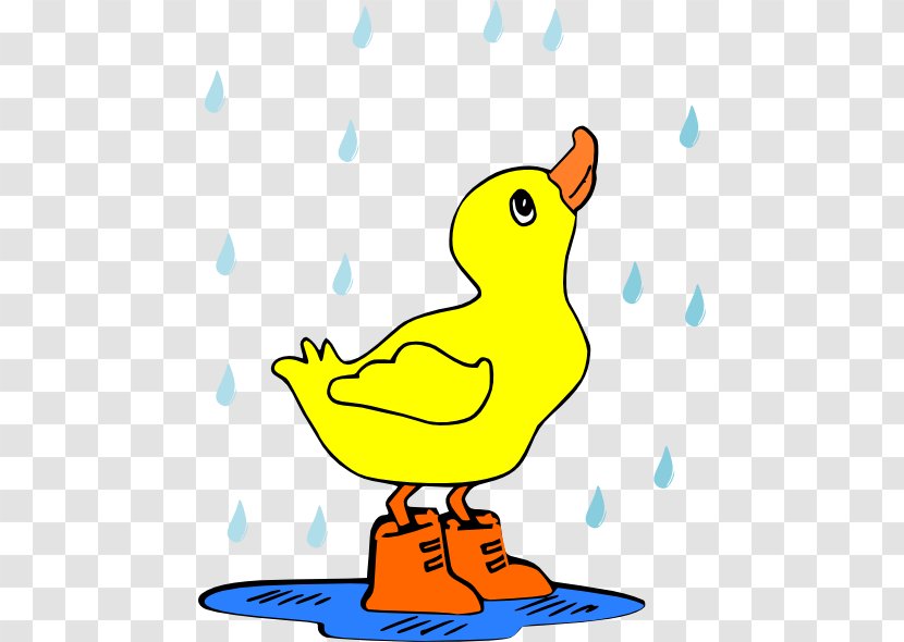 Duck Puddle Rain Clip Art - Fauna Transparent PNG