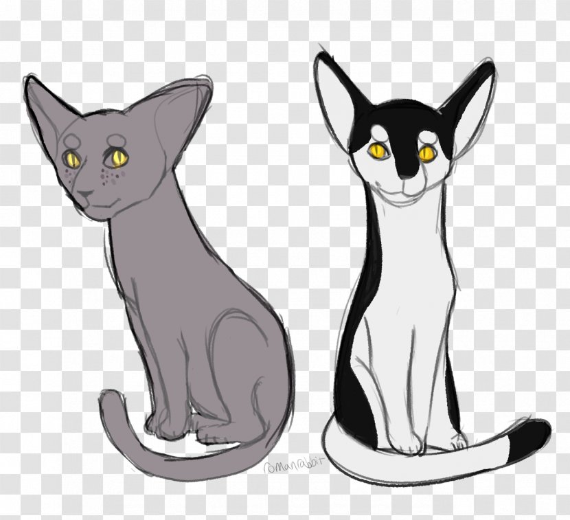 Whiskers Warriors Black Cat Erin Hunter - Fictional Character Transparent PNG