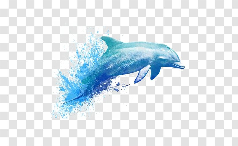 Watercolor Painting Drawing Dolphin Tattoo - Coloring Book Transparent PNG