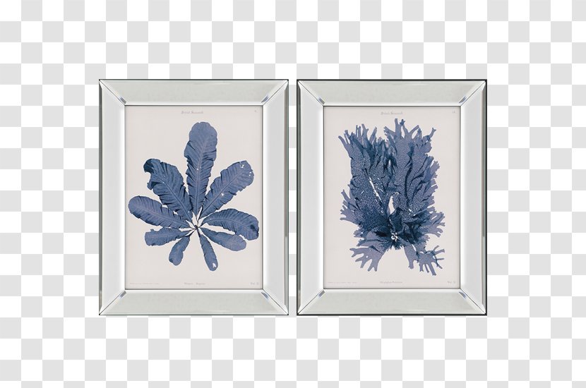 Picture Frames Seaweed Poster Art Wall - Painting Transparent PNG