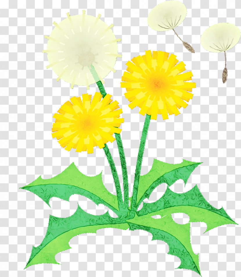 Floral Design Transparent PNG