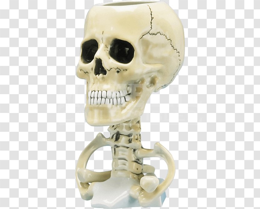 Skull Cup Chalice Human Skeleton Transparent PNG