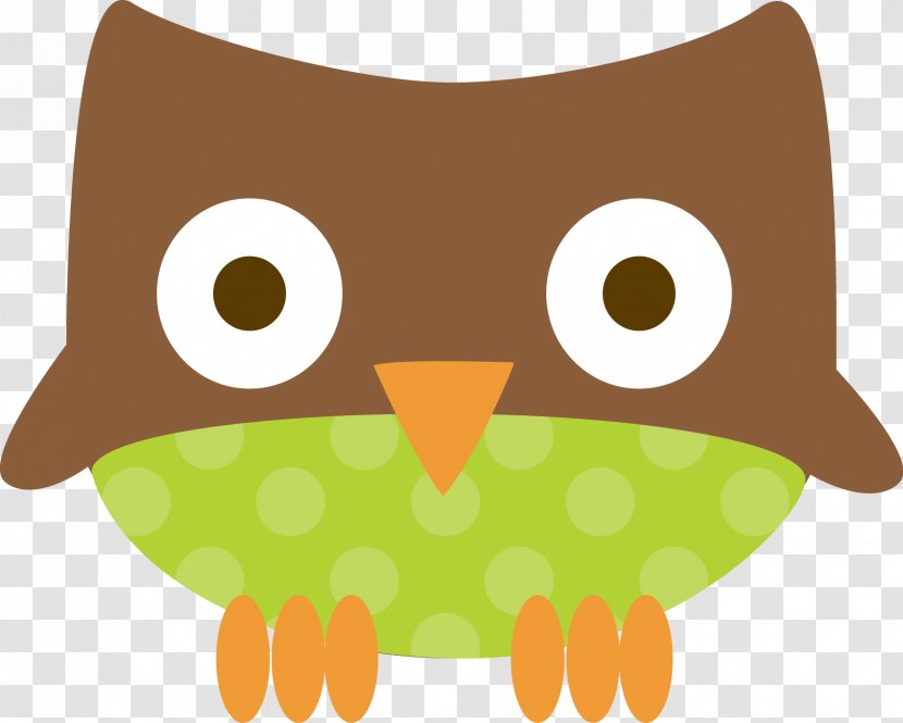 Birthday Animal - Owl - Cartoon Green Transparent PNG