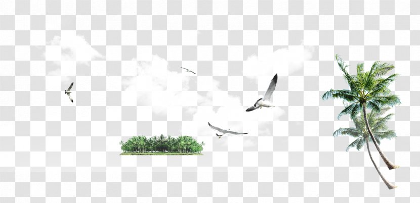 Heron Great Egret Coconut Tree - Cloud - Egret,coconut Tree,Baiyun,tree Transparent PNG